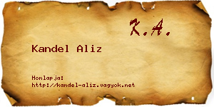 Kandel Aliz névjegykártya